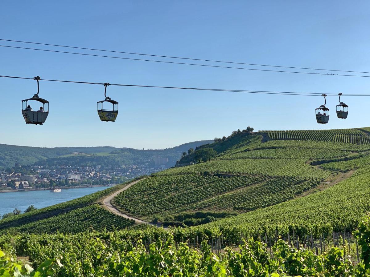 Fewo Zur Goldenen Traube Rüdesheim am Rhein Kültér fotó