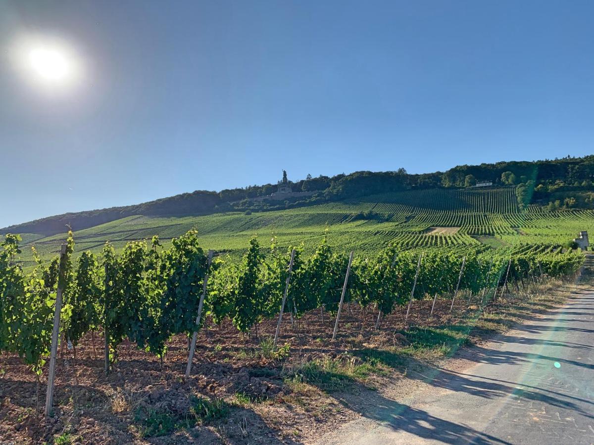 Fewo Zur Goldenen Traube Rüdesheim am Rhein Kültér fotó