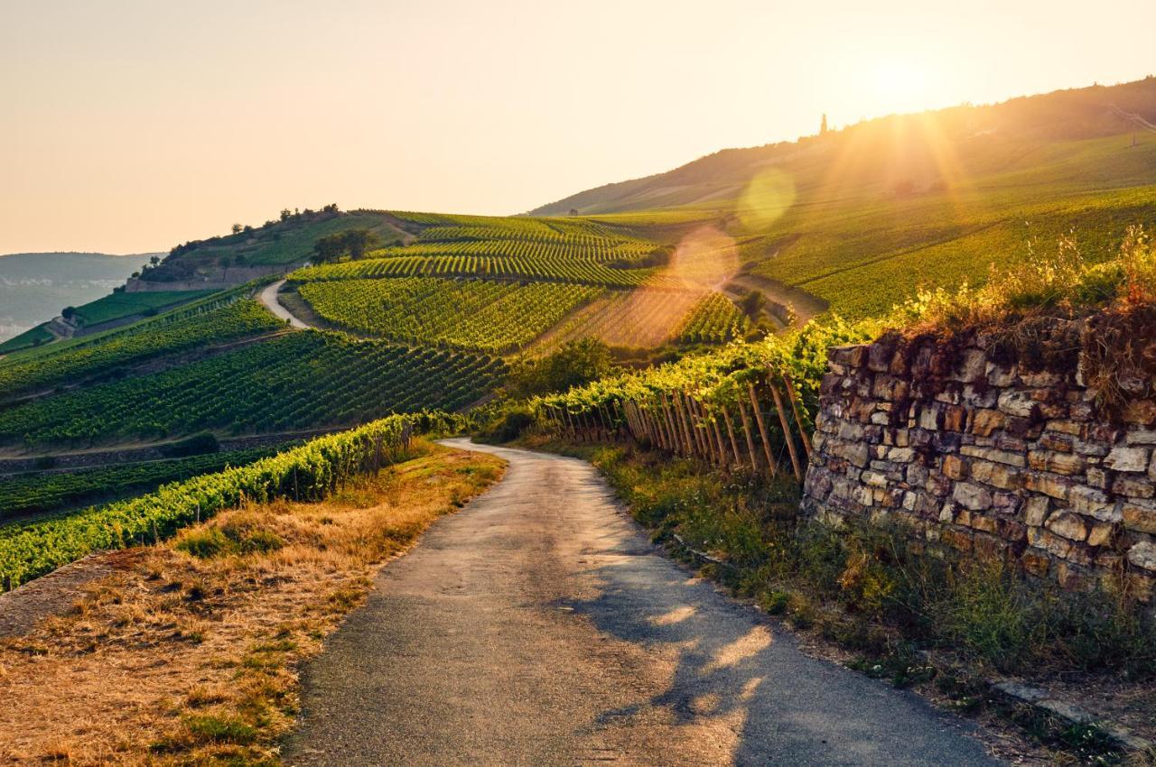 Fewo Zur Goldenen Traube Rüdesheim am Rhein Kültér fotó